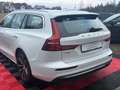 Volvo V60 Kombi*ACC*TOT*KAM*MULTI Weiß - thumbnail 18