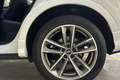 Audi Q3 1.5 35 TFSI S TRONIC BLACK LINE 150 5P Blanco - thumbnail 13