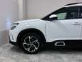 Citroen C5 Aircross Feel II AHK II LED II 180 Grad Kamera Weiß - thumbnail 24