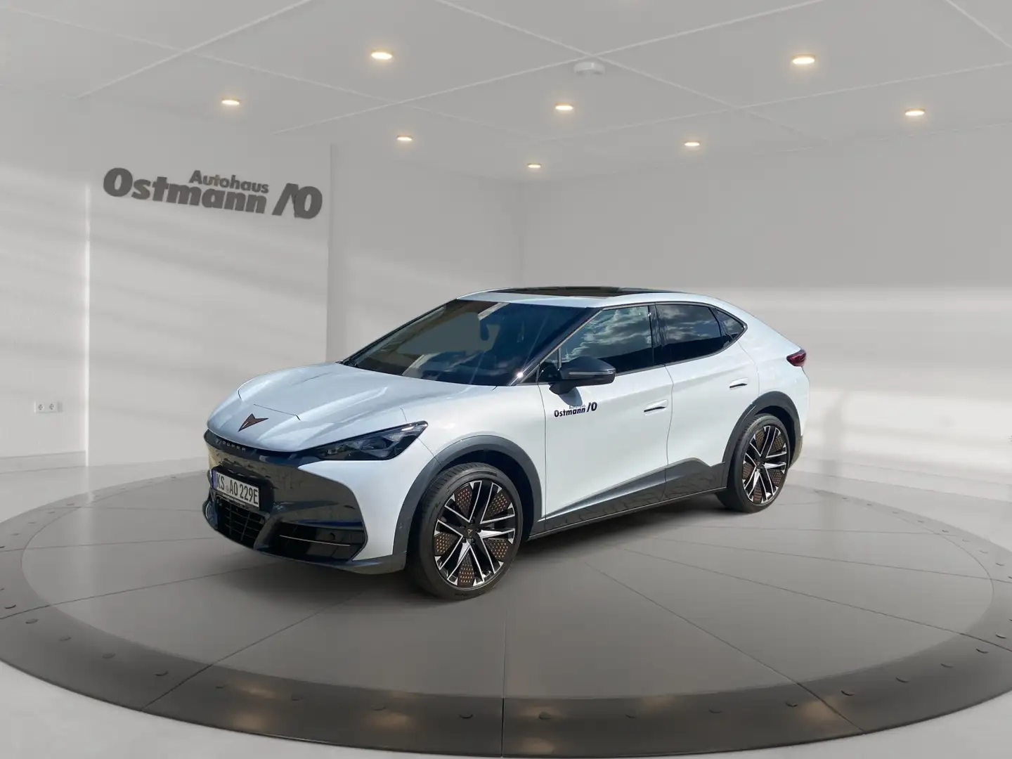 CUPRA Tavascan Endurance Matrix ACC AUT DynLicht LED Silber - 1