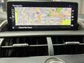 Lexus NX 300h Luxury Kick Power 4WD Noir - thumbnail 16