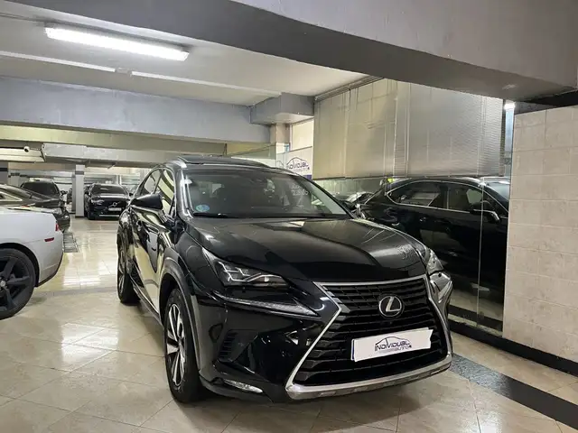 Lexus NX 300h Luxury Kick Power 4WD