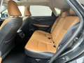 Lexus NX 300h Luxury Kick Power 4WD Noir - thumbnail 13