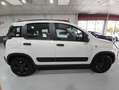 Fiat Panda Waze 1.2 51 kW (69 CV) Blanco - thumbnail 5