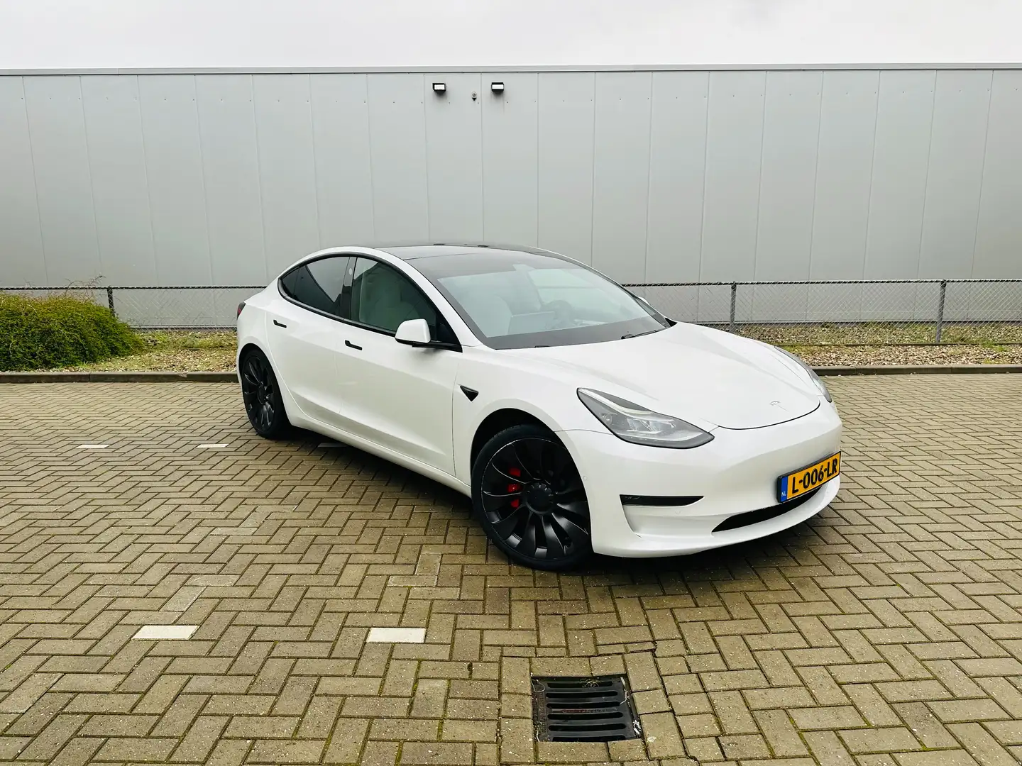 Tesla Model 3 Model 3 Performance 513PK , AWD 2021 +Enh. Autop. Wit - 1