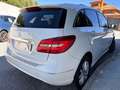 Mercedes-Benz B 180 180d Bianco - thumbnail 5