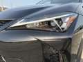 Lexus UX 300h F-Sport Design FWD Hybrid Schwarz - thumbnail 12