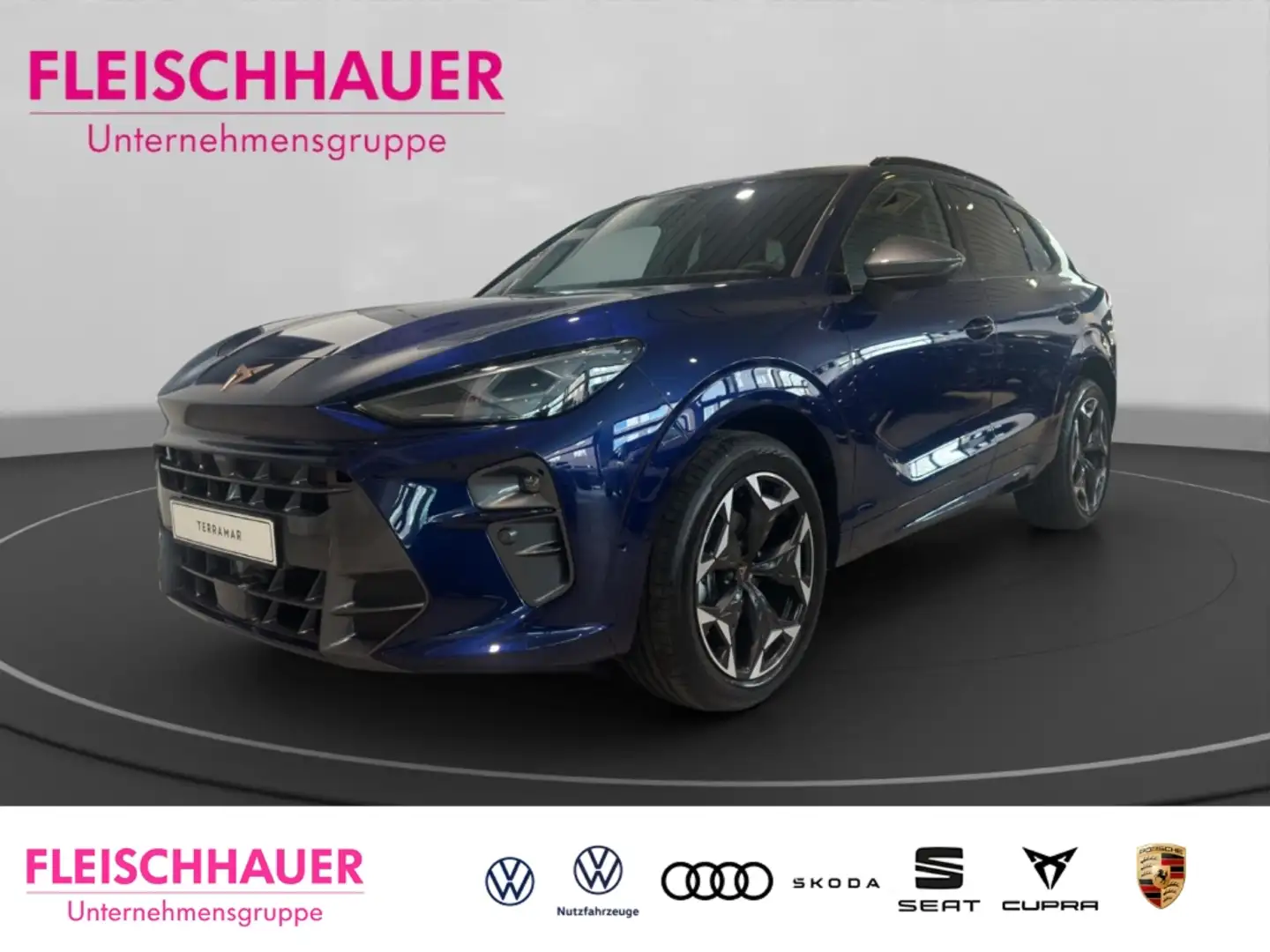 CUPRA Terramar 1.5 eTSI 110 kW (150 PS) 7-Gang DSG AHK DRIVE-XL Blau - 1