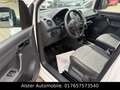 Volkswagen Caddy Kasten EcoProfi, TDI, 124000 KM, 1 Hand, Weiß - thumbnail 13
