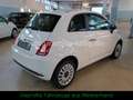 Fiat 500 1,2 Hybrid #PDC #KLIMAAUTO #NAVI #APP Bianco - thumbnail 5