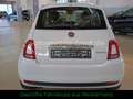 Fiat 500 1,2 Hybrid #PDC #KLIMAAUTO #NAVI #APP Bianco - thumbnail 7