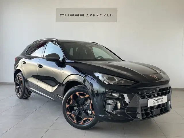 Cupra Terramar main image
