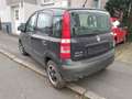 Fiat Panda 1.2 8V MyLive Klima City-Servo ABS ETC Schwarz - thumbnail 8