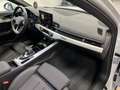Audi A4 40 TDI SPORT QUATTRO COMPETITION GLETSCHER AHK HUD Weiß - thumbnail 24