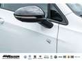 Volkswagen Golf Variant VIII R 2.0 TSI DSG 4Motion PERFORMANCE AHK DCC HUD Blanco - thumbnail 7
