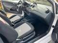 SEAT Ibiza SC Sun Weiß - thumbnail 11