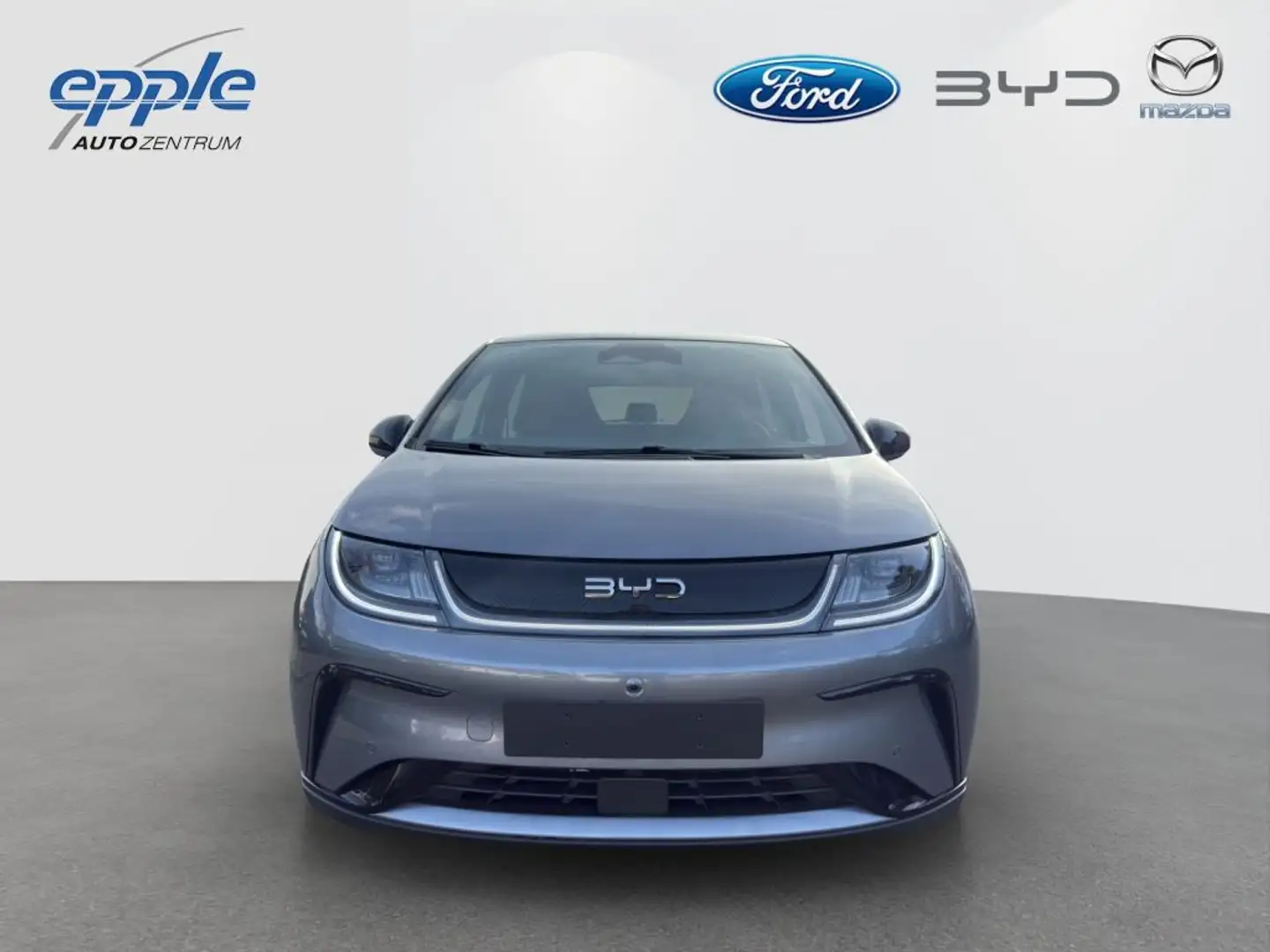 BYD Dolphin DOLPHIN Comfort (EM2E) Blau - 2