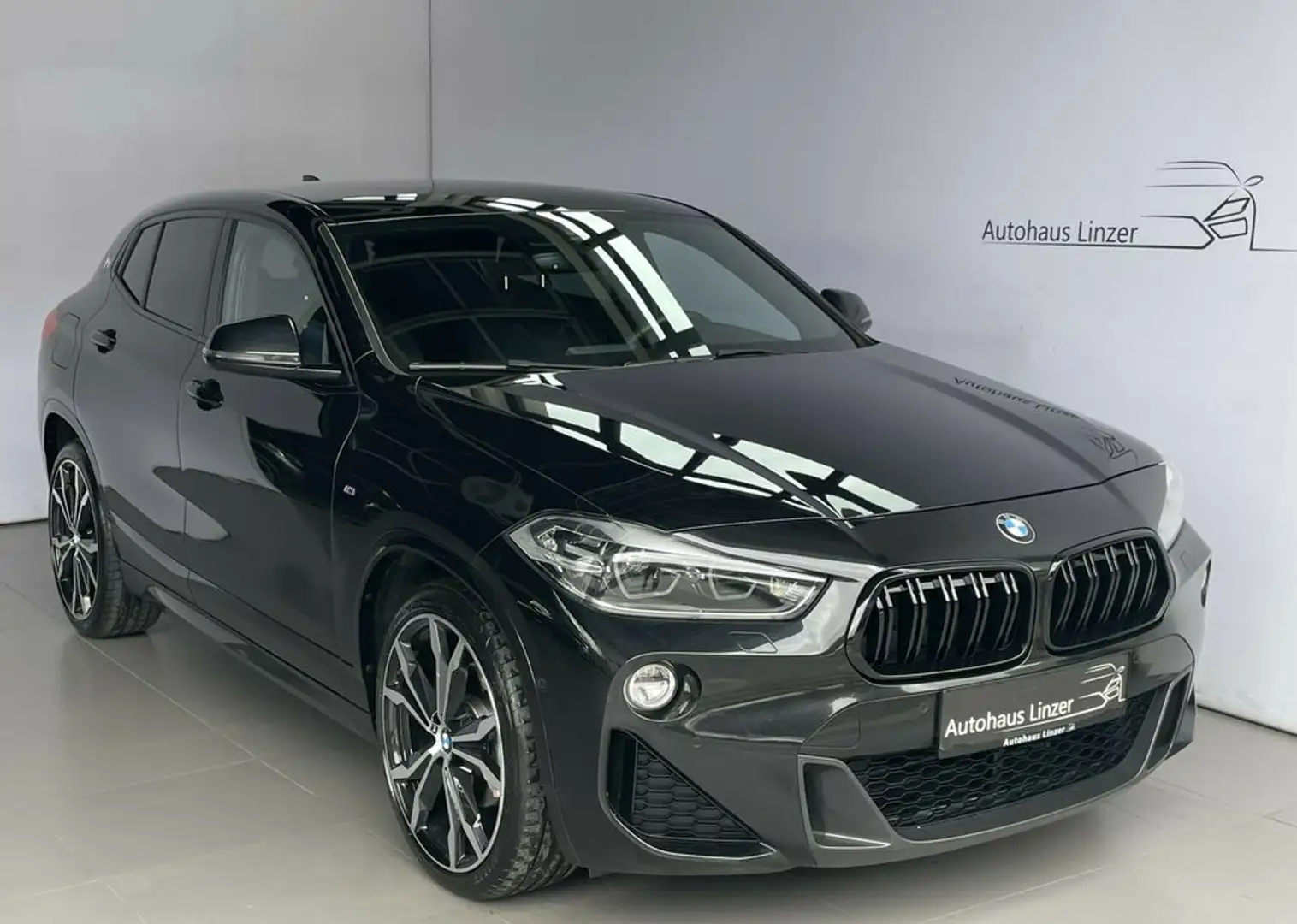 BMW X2 xDrive18d M *LED*KeyGo*AHK*CAM*AmbienteB*20Zoll Schwarz - 1