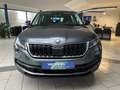 Skoda Kodiaq 2.0 TDI-DSG 4x4 AHK,ACC,RFK,Navi,LED Grigio - thumbnail 6