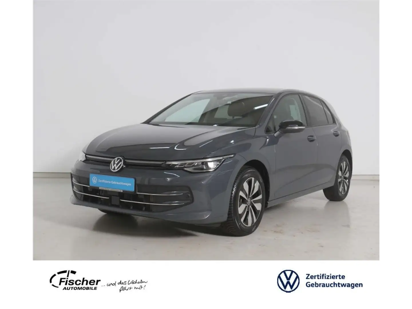 Volkswagen Golf 2.0 TDI GOAL DSG AHK/LED/NAV/RFK/ACC/PDC Grau - 1