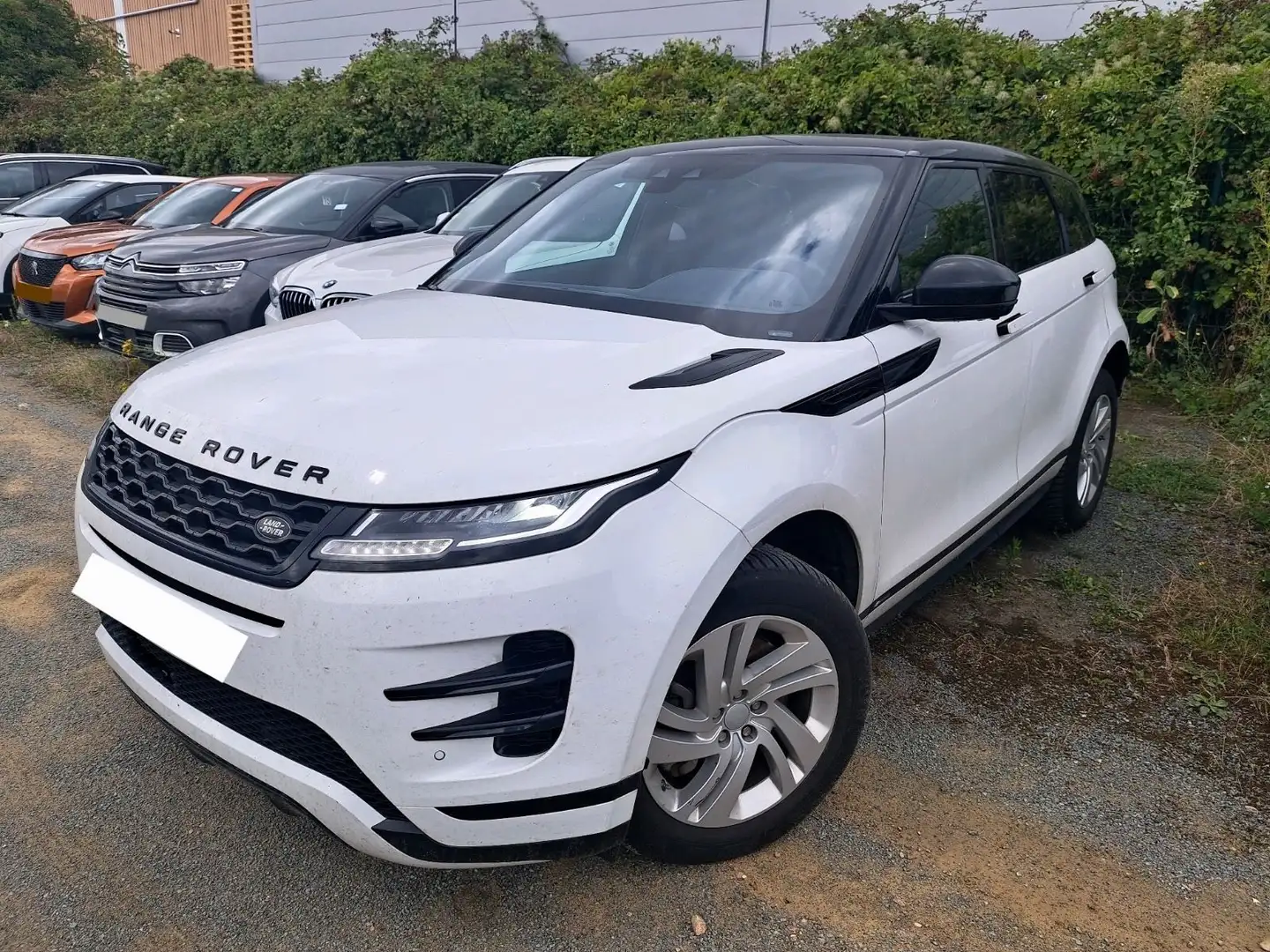 Land Rover Range Rover Evoque R-Dynamic Leder Navi Kamera Weiß - 1