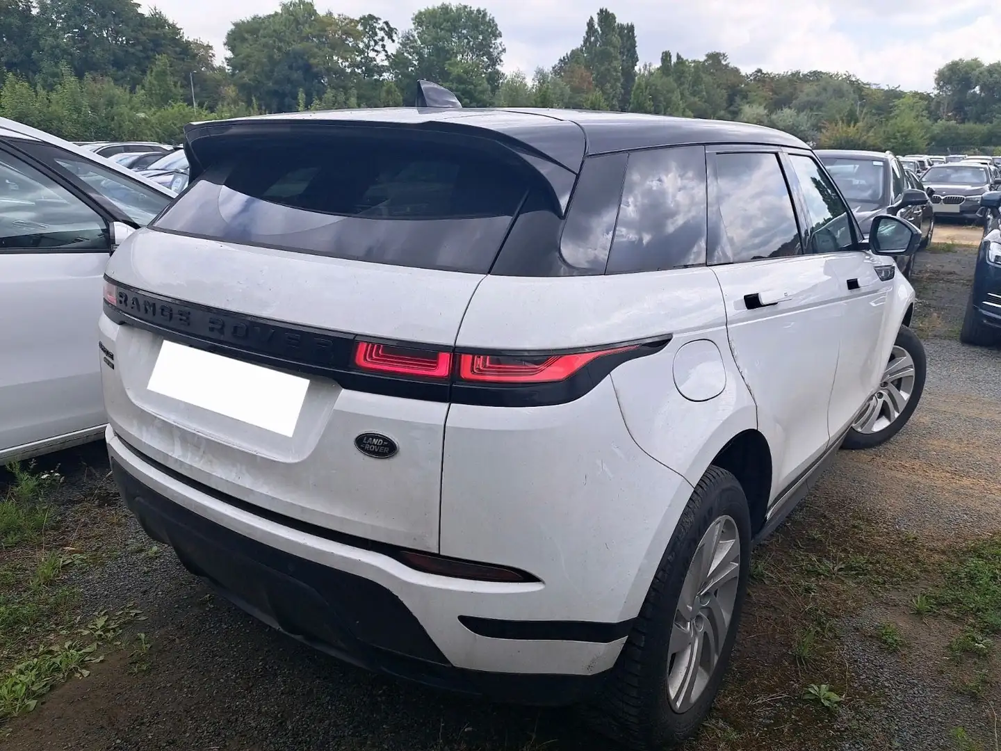 Land Rover Range Rover Evoque R-Dynamic Leder Navi Kamera Weiß - 2