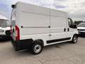 Fiat Ducato new fiat ducato l2h2 2.2 140 cv multijet 3 Bianco - thumbnail 2