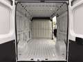 Fiat Ducato new fiat ducato l2h2 2.2 140 cv multijet 3 Bianco - thumbnail 11