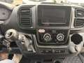 Fiat Ducato new fiat ducato l2h2 2.2 140 cv multijet 3 Bianco - thumbnail 10