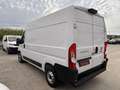 Fiat Ducato new fiat ducato l2h2 2.2 140 cv multijet 3 Bianco - thumbnail 4