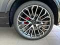 Audi Q8 50TDI Facelift/sw-gr/SLine/Mtx/Pan/Park/23 Weiß - thumbnail 4