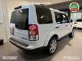 Land Rover Discovery Discovery 4 SE 3.0 sdV6 245cv Auto 4x4 Blanc - thumbnail 6