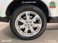Land Rover Discovery Discovery 4 SE 3.0 sdV6 245cv Auto 4x4 Blanc - thumbnail 7