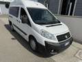 Fiat Scudo - thumbnail 2