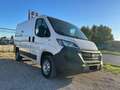 Fiat Ducato Bianco - thumbnail 2