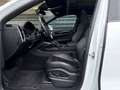 Porsche Cayenne Coupe E-Hybrid-INNO-HEAD UP-EL.AK-1.HAND Weiß - thumbnail 18