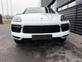 Porsche Cayenne Coupe E-Hybrid-INNO-HEAD UP-EL.AK-1.HAND Weiß - thumbnail 10