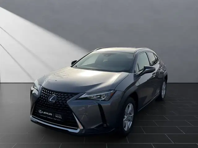 Lexus UX 250h 250 h*KAMERA*