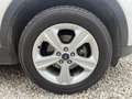 Ford Kuga 1,5 TDCi Trend Grau - thumbnail 12