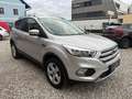 Ford Kuga 1,5 TDCi Trend Grau - thumbnail 2