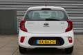 Kia Picanto 1.0 CVVT EconomyPlusLine Airco / All Seasonbanden Blanc - thumbnail 4