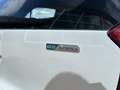Kia Picanto 1.0 CVVT EconomyPlusLine Foto's Volgen Wit - thumbnail 6