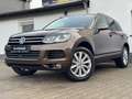 Volkswagen Touareg V8 TDI EXCLUSIVE*360*LUFT*LED*ASIST Braun - thumbnail 7
