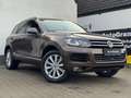 Volkswagen Touareg V8 TDI EXCLUSIVE*360*LUFT*LED*ASIST Braun - thumbnail 2