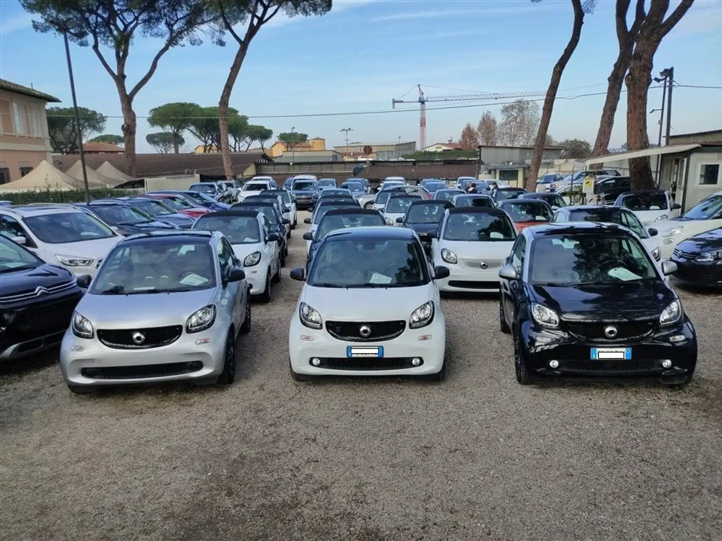 smart forTwo 70 1.0 AndroidAuto,CRUISE,CERCHI LEGA,CLIMA Bianco - 2