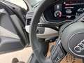 Audi A4 allroad A4 Allroad quattro 40 TDI quattro S-tronic Virt... Grau - thumbnail 21