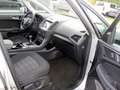Ford Galaxy Trend Start/Stopp 2,0 EcoBlue Silber - thumbnail 27