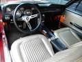 Ford Mustang 1968 GT S-code Coupe 390 komplett restauriert Rosso - thumbnail 2