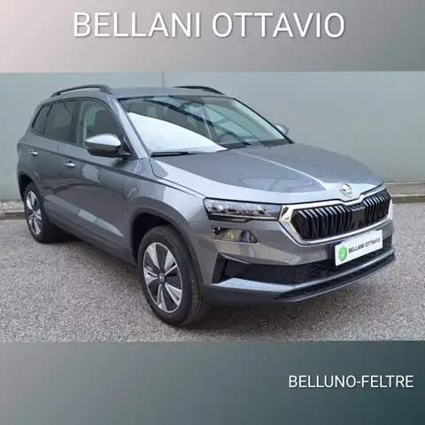 Skoda Karoq 1.0 TSI 110 CV Executive