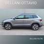 Skoda Karoq 1.0 TSI 110 CV Executive Grijs - thumbnail 6